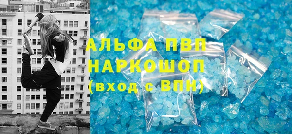 индика Балахна