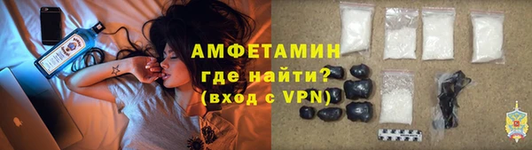 индика Балахна