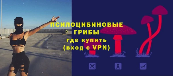 индика Балахна