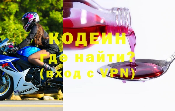 индика Балахна