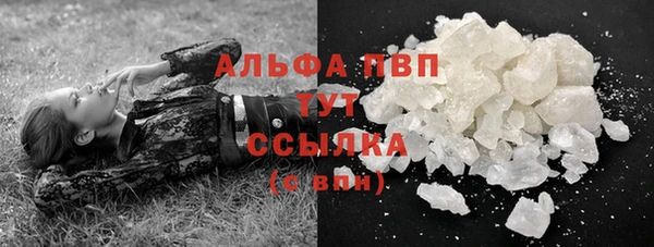 индика Балахна